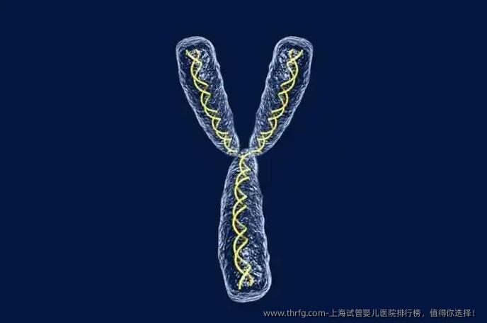 上海试管婴儿医院排行榜，值得你选择！