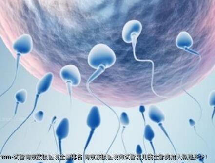试管南京鼓楼医院国内排名 南京鼓楼医院做试管婴儿的全部费用大概是多少！