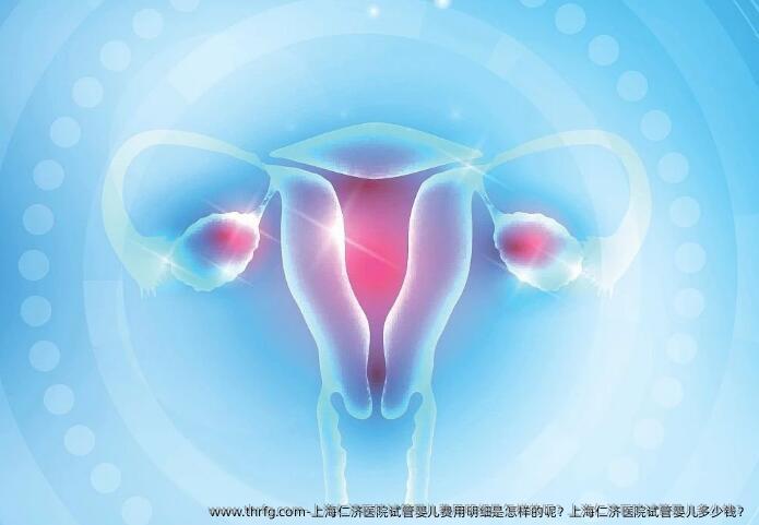 上海仁济医院试管婴儿费用明细是怎样的呢？上海仁济医院试管婴儿多少钱？