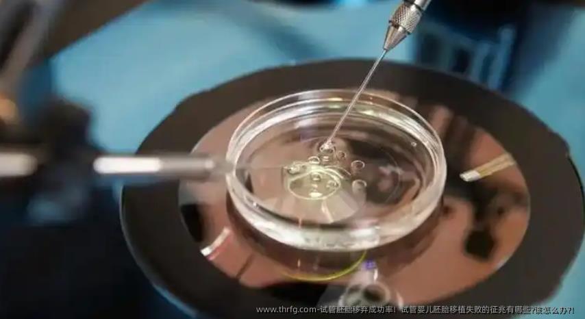 试管胚胎移弃成功率！试管婴儿胚胎移植失败的征兆有哪些?该怎么办?！