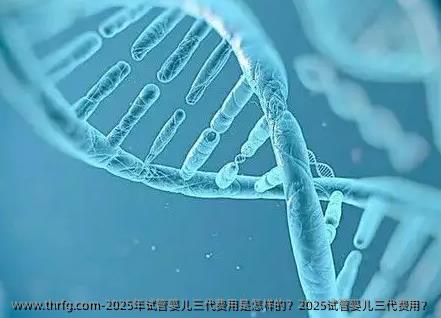 2025年试管婴儿三代费用是怎样的？2025试管婴儿三代费用？
