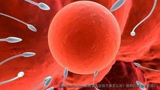 试管婴儿促排方案怎么选？哪种的获卵率更高？