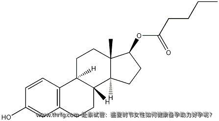 赴泰试管：盛夏时节女性如何健康备孕助力好孕呢？