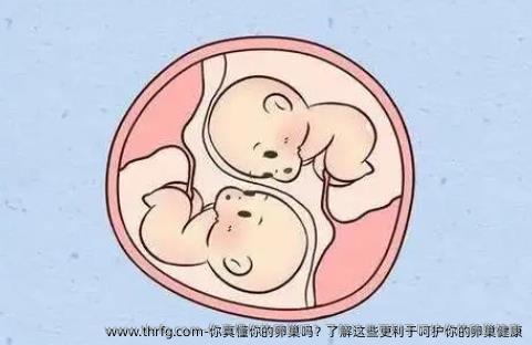 你真懂你的卵巢吗？了解这些更利于呵护你的卵巢健康