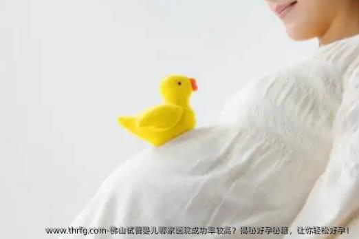 佛山试管婴儿哪家医院成功率较高？揭秘好孕秘籍，让你轻松好孕！