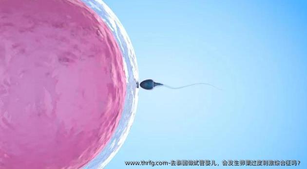 去泰国做试管婴儿，会发生卵巢过度刺激综合征吗？