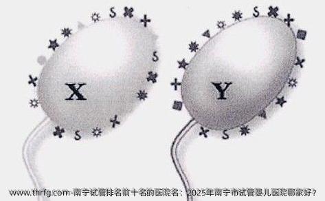 南宁试管排名前十名的医院名：2025年南宁市试管婴儿医院哪家好？