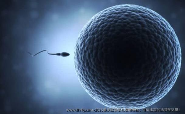 2025重庆试管婴儿费用揭秘：性价比高的选择在这里！