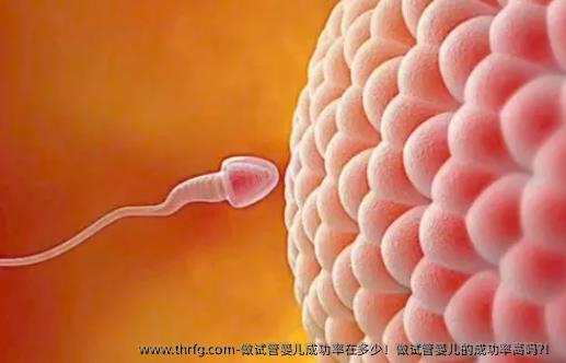 做试管婴儿成功率在多少！做试管婴儿的成功率高吗?！
