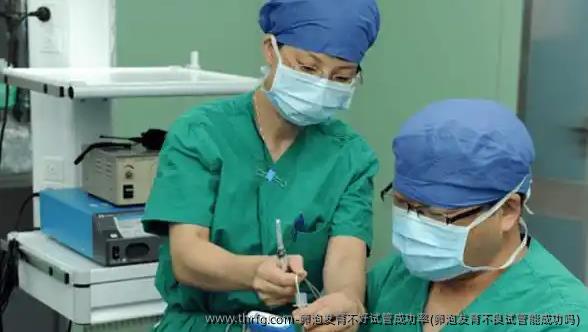 卵泡发育不好试管成功率(卵泡发育不良试管能成功吗)
