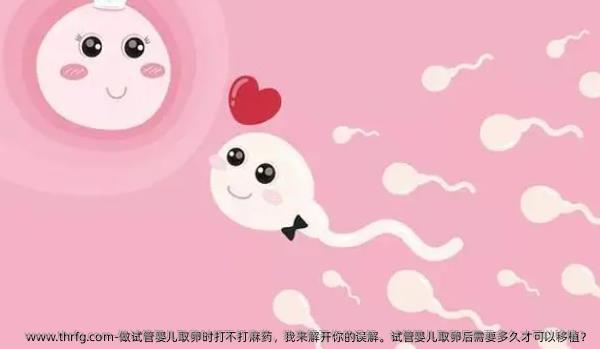 做试管婴儿卵泡取出时打不打麻药，我来解开你的误解。试管婴儿卵泡取出后需要多久才可以移植？