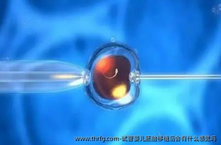 试管婴儿胚胎移植后会有什么感觉吗