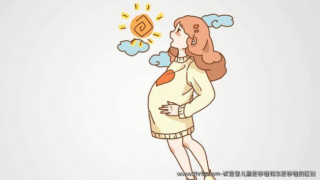 试管婴儿囊胚移植和冻胚移植的区别