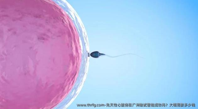 先天性心脏病在广州做试管能成功吗？大概需要多少钱