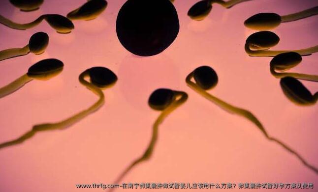 在南宁卵巢囊肿做试管婴儿应该用什么方案？卵巢囊肿试管好孕方案及费用