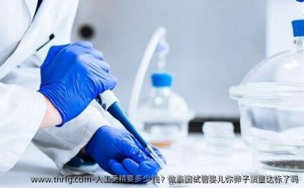 人工受精要多少钱？做泰国试管婴儿你卵子质量达标了吗