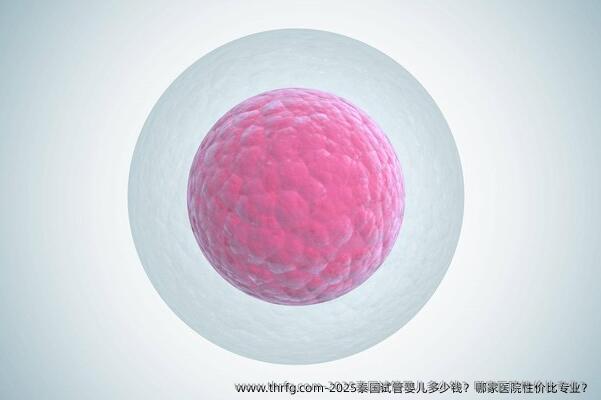 2025泰国试管婴儿多少钱？哪家医院性价比专业？