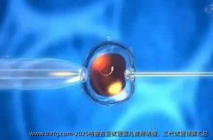2025格鲁吉亚试管婴儿费用明细，三代试管预算汇总