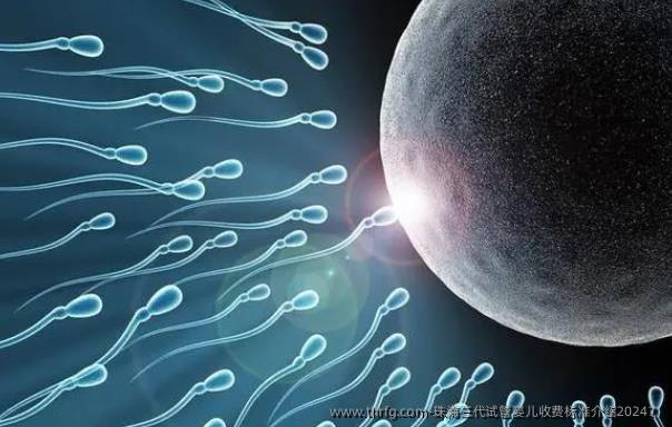 珠海三代试管婴儿收费标准介绍2024？