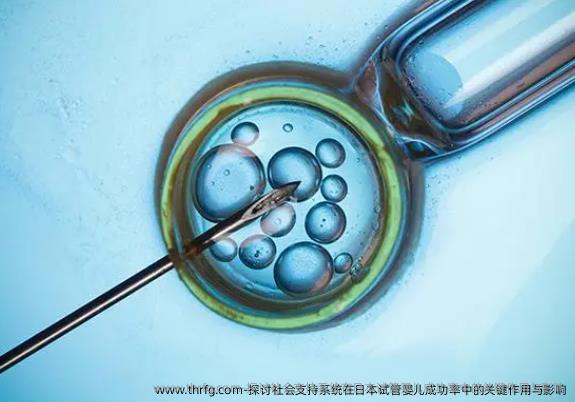 探讨社会支持系统在日本试管婴儿成功率中的关键作用与影响