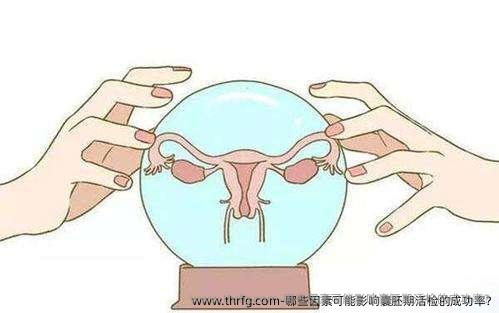 哪些因素可能影响囊胚期活检的成功率?