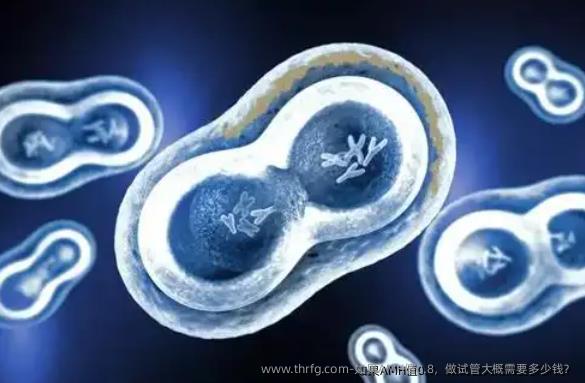 如果AMH值0.8，做试管大概需要多少钱？