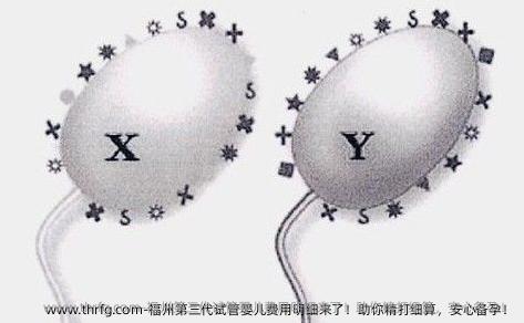 福州第三代试管婴儿费用明细来了！助你精打细算，安心备孕！