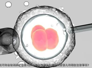 2025年在河南省做高龄试管婴儿的成功率有多少？高龄试管婴儿有哪些注意事项？