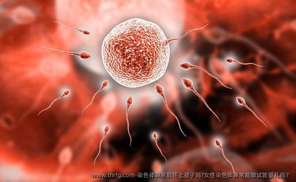 染色体异常能怀上孩子吗?女性染色体异常能做试管婴儿吗？