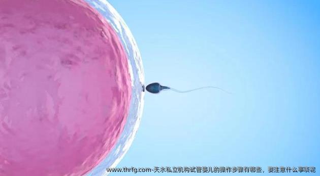 天水私立机构试管婴儿的操作步骤有哪些，要注意什么事项呢