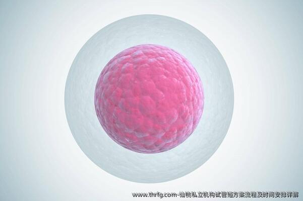 仙桃私立机构试管短方案流程及时间安排详解