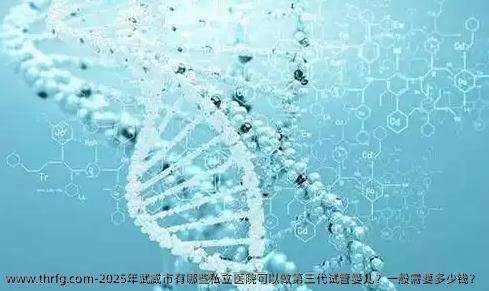 2025年武威市有哪些私立医院可以做第三代试管婴儿？一般需要多少钱？