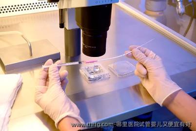 哪里医院试管婴儿又便宜有好