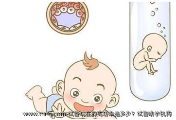 试管现在的成功率是多少？试管助孕机构