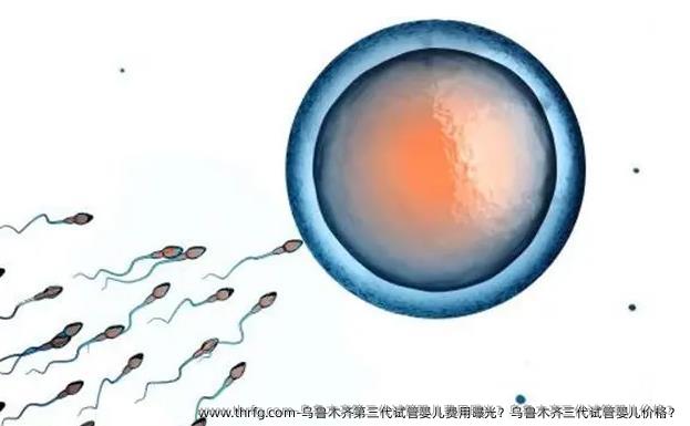 乌鲁木齐第三代试管婴儿费用曝光？乌鲁木齐三代试管婴儿价格？