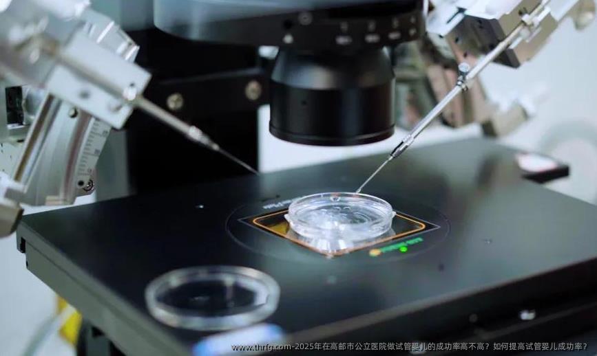 2025年在高邮市公立医院做试管婴儿的成功率高不高？如何提高试管婴儿成功率？