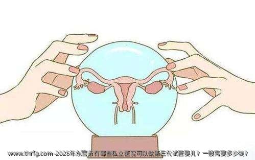 2025年东营市有哪些私立医院可以做第三代试管婴儿？一般需要多少钱？