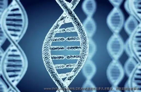 德州私立机构试管成功后多久才稳定，附稳定期注意事项