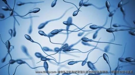 潍坊私立机构试管婴儿成功的征兆有哪些，早期成功信号盘点