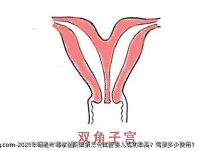 2025年昭通市哪家医院做第三代试管婴儿成功率高？需要多少费用？