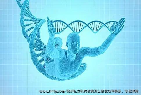 深圳私立机构试管怎么做成功率最高，专家详解