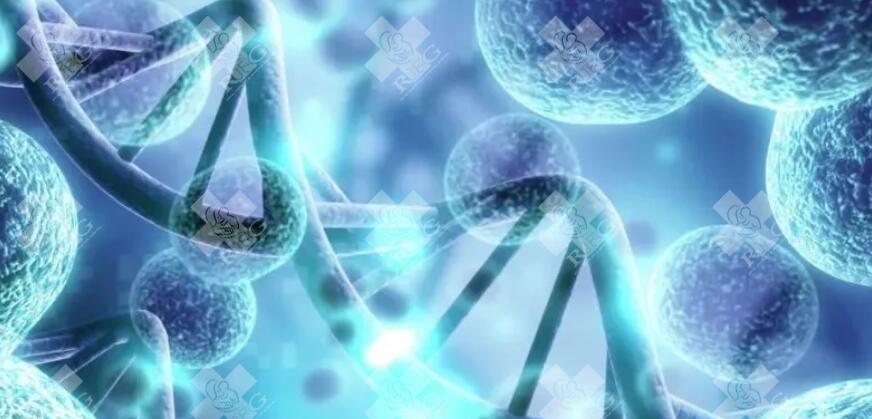 2025年永州试管婴儿第三代多少钱才够？2025试管第三代的费用是多少？
