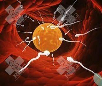 慢性子宫内膜炎可以试管吗,慢性子宫内膜炎需要治疗多久才可以移植！