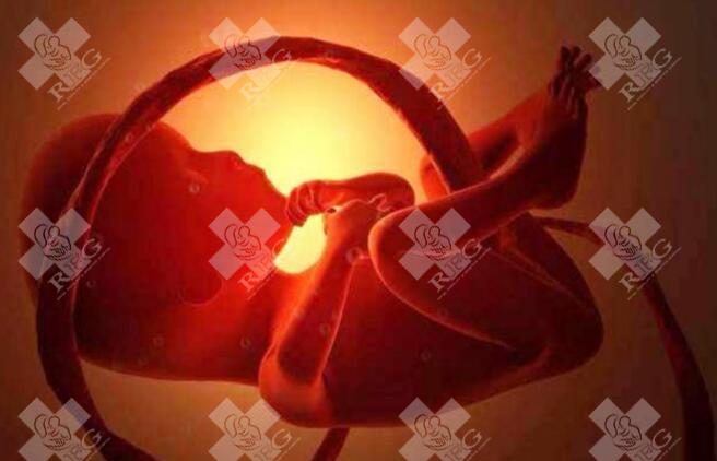 体质不好影响试管成功率吗！体质不好能要孩子吗！