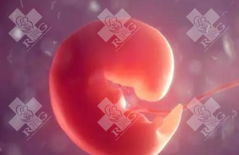 广东可以做试管婴儿的医院有哪些？广东试管婴儿医院哪家好？
