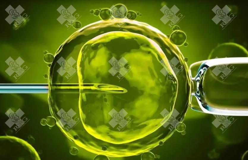 泰国试管哪家医院好,2025最新排名出炉