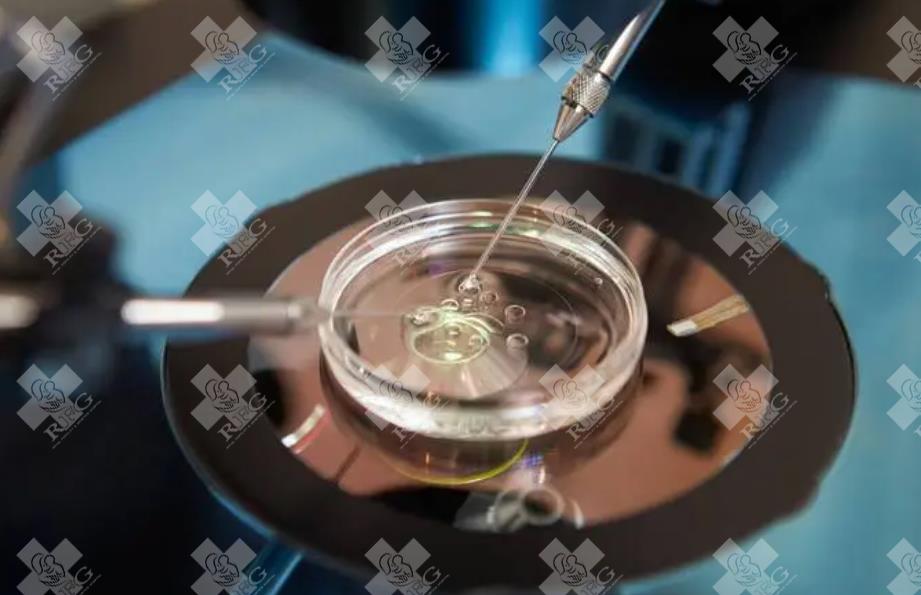 马来西亚三代试管费用曝光，具体花费项目明细揭晓