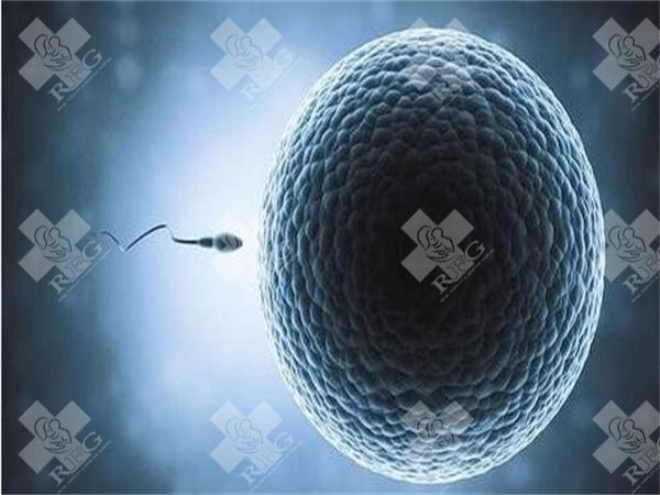 ​2025长沙中信湘雅试管婴儿流程详细介绍附中信湘雅试管费用明细
