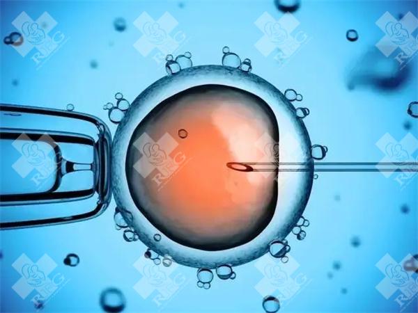 2025哈尔滨三代试管婴儿医院排名一览，当地姐妹都是这样安排的