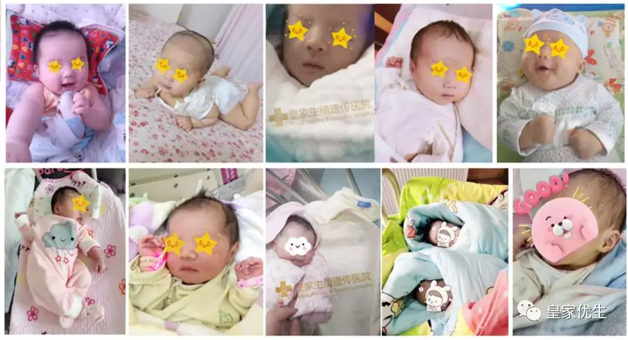 2019年RFG出生的部分宝宝照片集合
